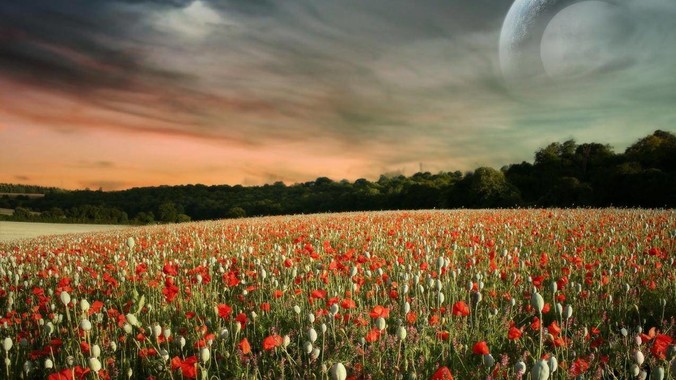 目前最具性价比的全栈路线是啥？